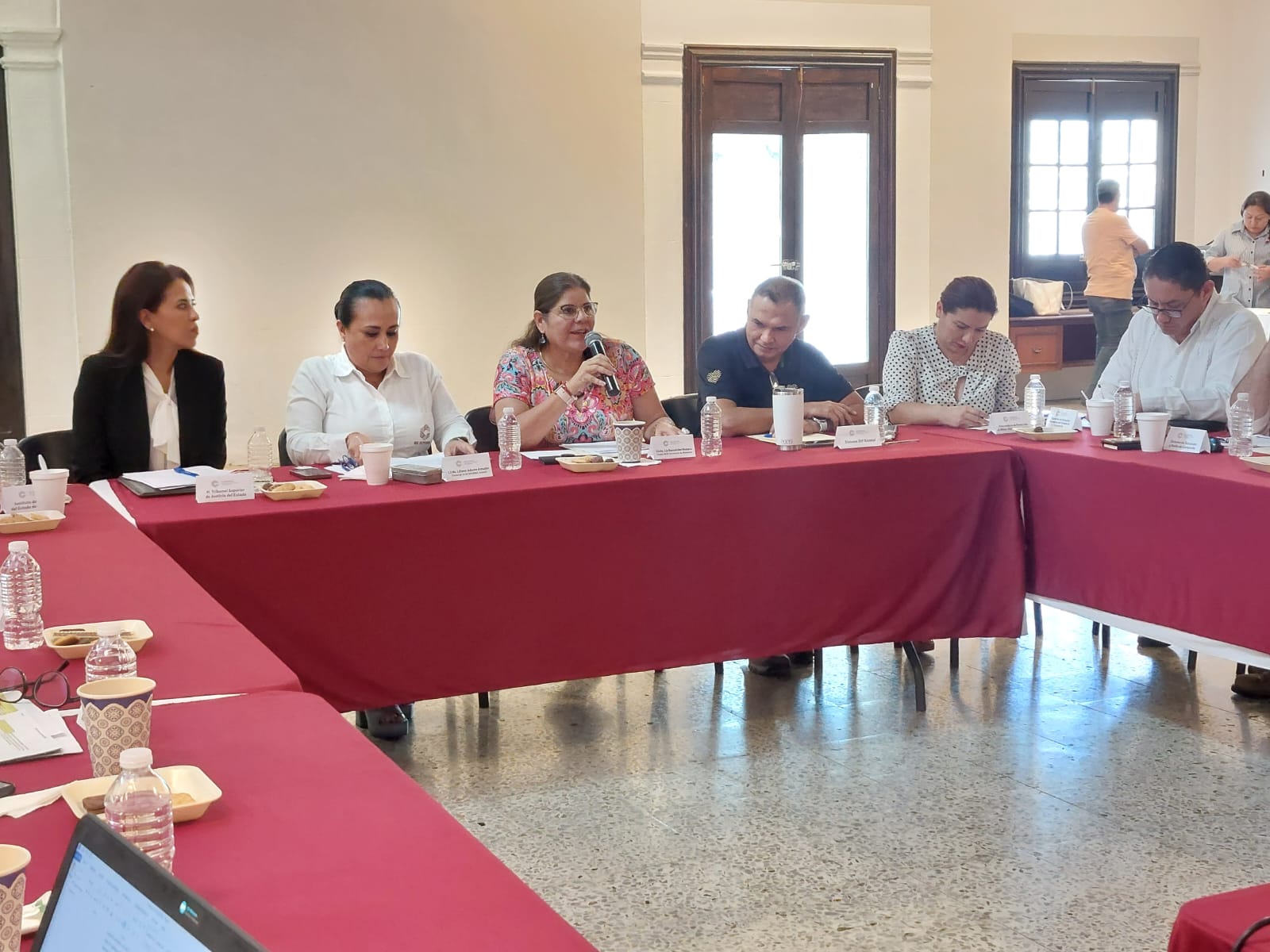 RUTA INTERINSTITUCIONAL ESTATAL DE ACTUACIÓN ANTE CASOS DE VIOLENCIA CONTRA NIÑAS, NIÑOS Y ADOLESCENTES