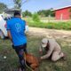 APLICAN MÁS DE 135 MIL DOSIS DE ANTIRRÁBICA EN TODO EL ESTADO