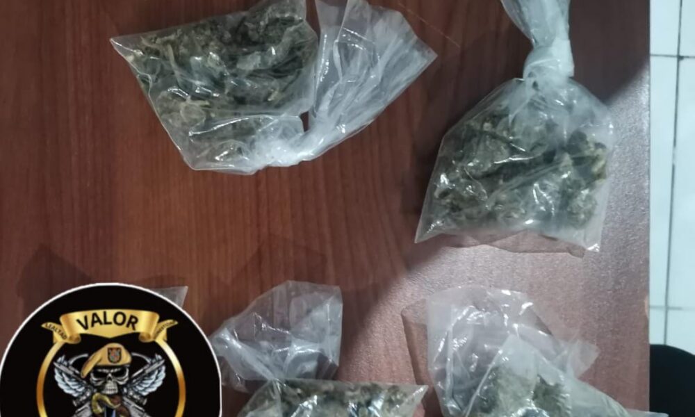 SPSC ASEGURA A SUJETO EN POSESIÓN DE PRESUNTA DROGA EN CARMEN