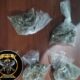 SPSC ASEGURA A SUJETO EN POSESIÓN DE PRESUNTA DROGA EN CARMEN