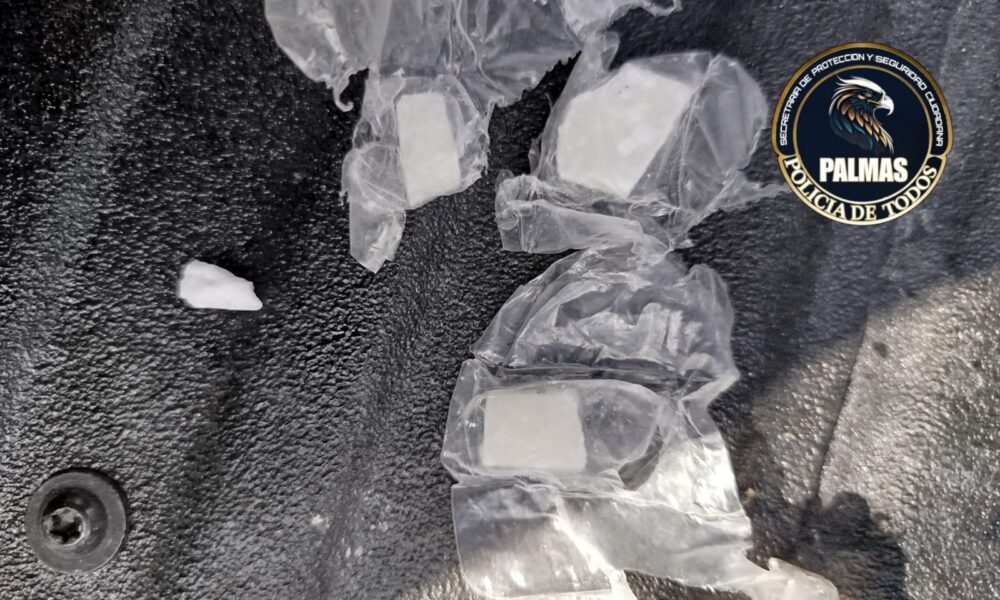 SPSC ASEGURA A SUJETO EN POSESIÓN DE PRESUNTA DROGA EN LA CAPITAL DEL ESTADO