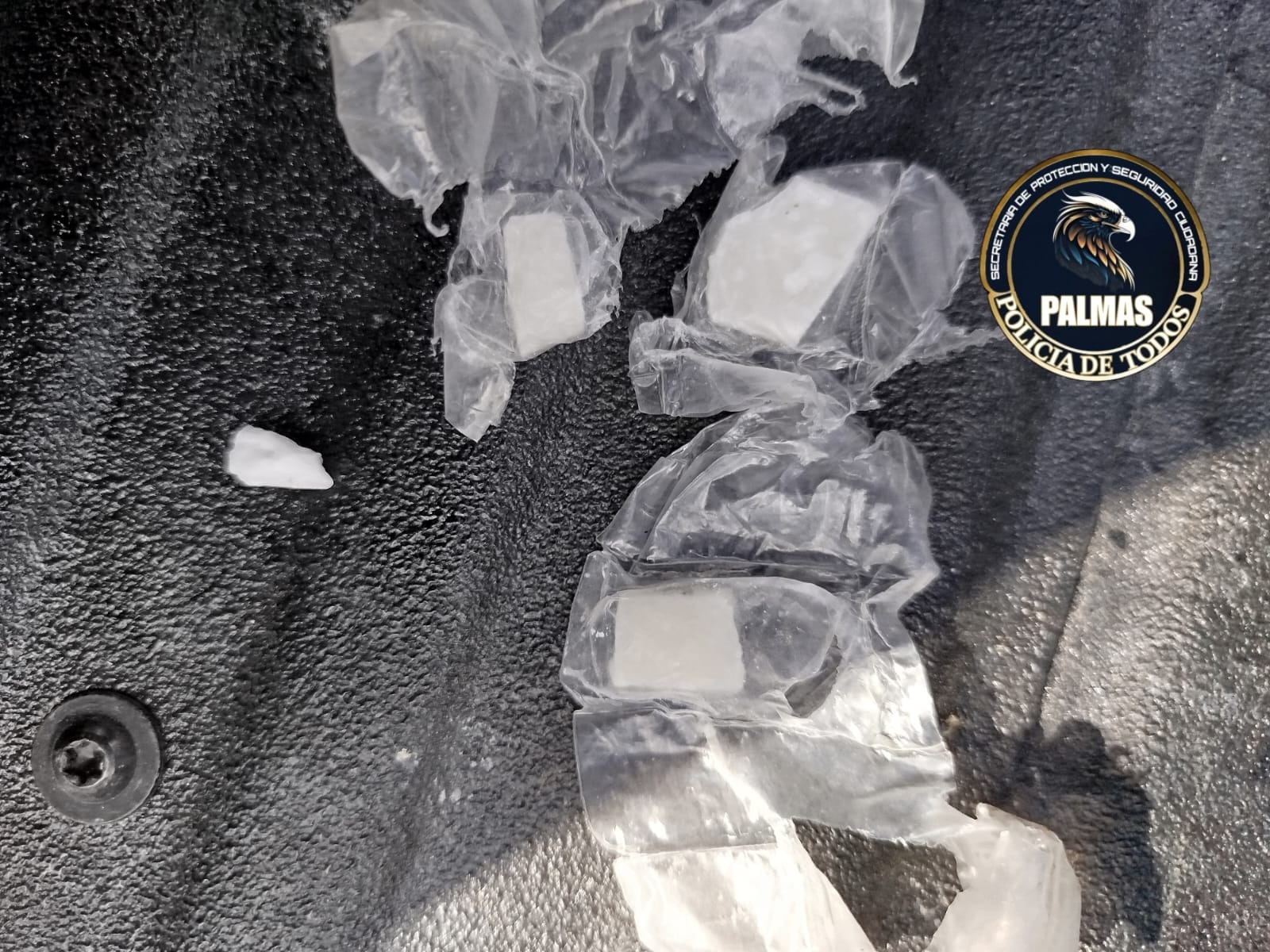 SPSC ASEGURA A SUJETO EN POSESIÓN DE PRESUNTA DROGA EN LA CAPITAL DEL ESTADO