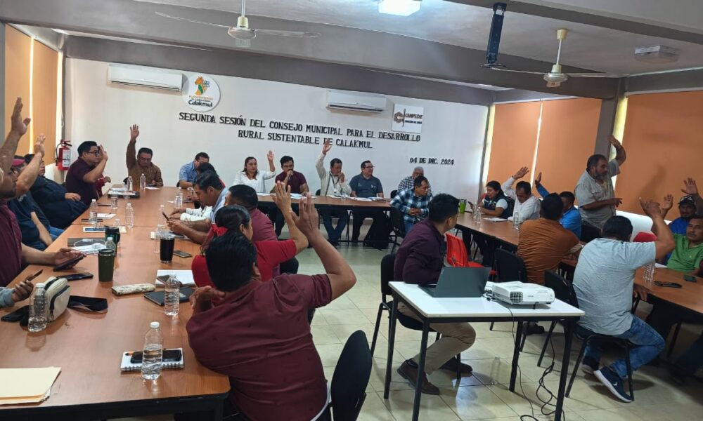 IMPULSO AL DESARROLLO APÍCOLA EN EL MUNICIPIO DE CALAKMUL