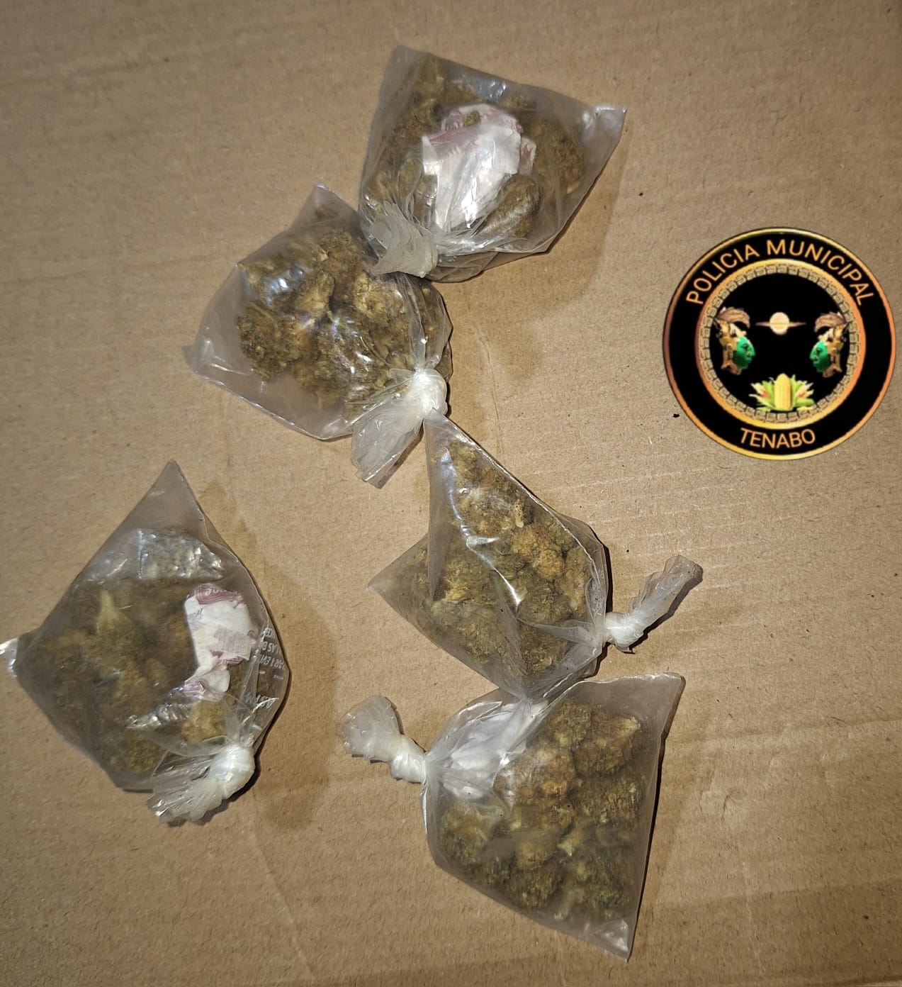 POLICÍA MUNICIPAL DE TENABO ASEGURA A CUATRO SUJETOS EN POSESIÓN DE PRESUNTA DROGA
