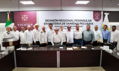 GOBIERNOS DE LA PENÍNSULA REFUERZAN ACCIONES PARA PREVENIR CASOS DEL GUSANO BARRENADOR