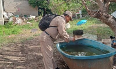 PERMANENTE LA LUCHA CONTRA EL DENGUE EN CAMPECHE