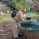PERMANENTE LA LUCHA CONTRA EL DENGUE EN CAMPECHE