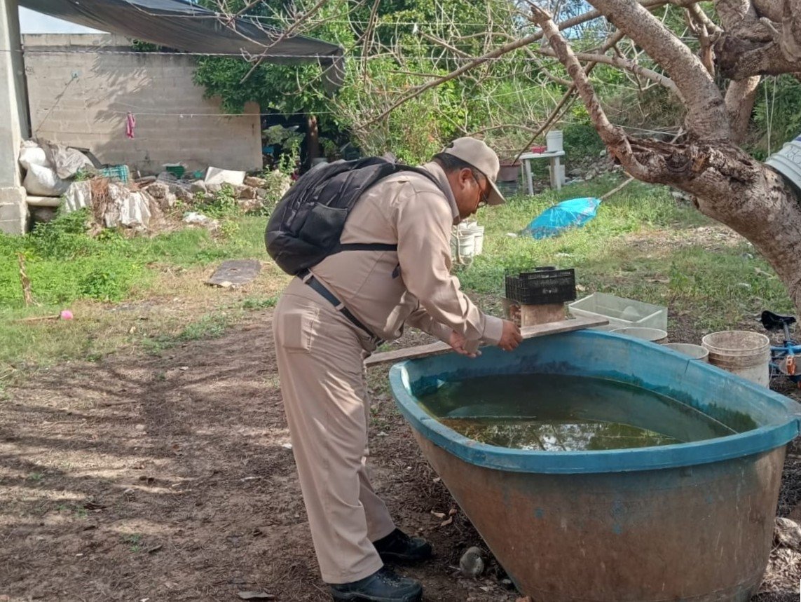 PERMANENTE LA LUCHA CONTRA EL DENGUE EN CAMPECHE