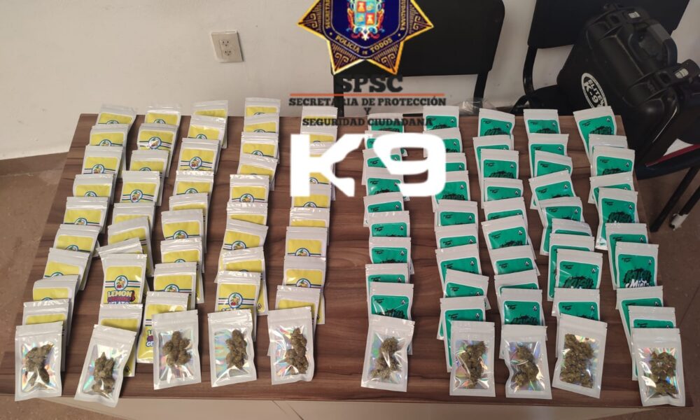 UNIDAD K9 ASEGURA PAQUETE CON PRESUNTA DROGA EN PAQUETERÍA DE LA CAPITAL DEL ESTADO