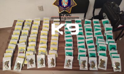 UNIDAD K9 ASEGURA PAQUETE CON PRESUNTA DROGA EN PAQUETERÍA DE LA CAPITAL DEL ESTADO