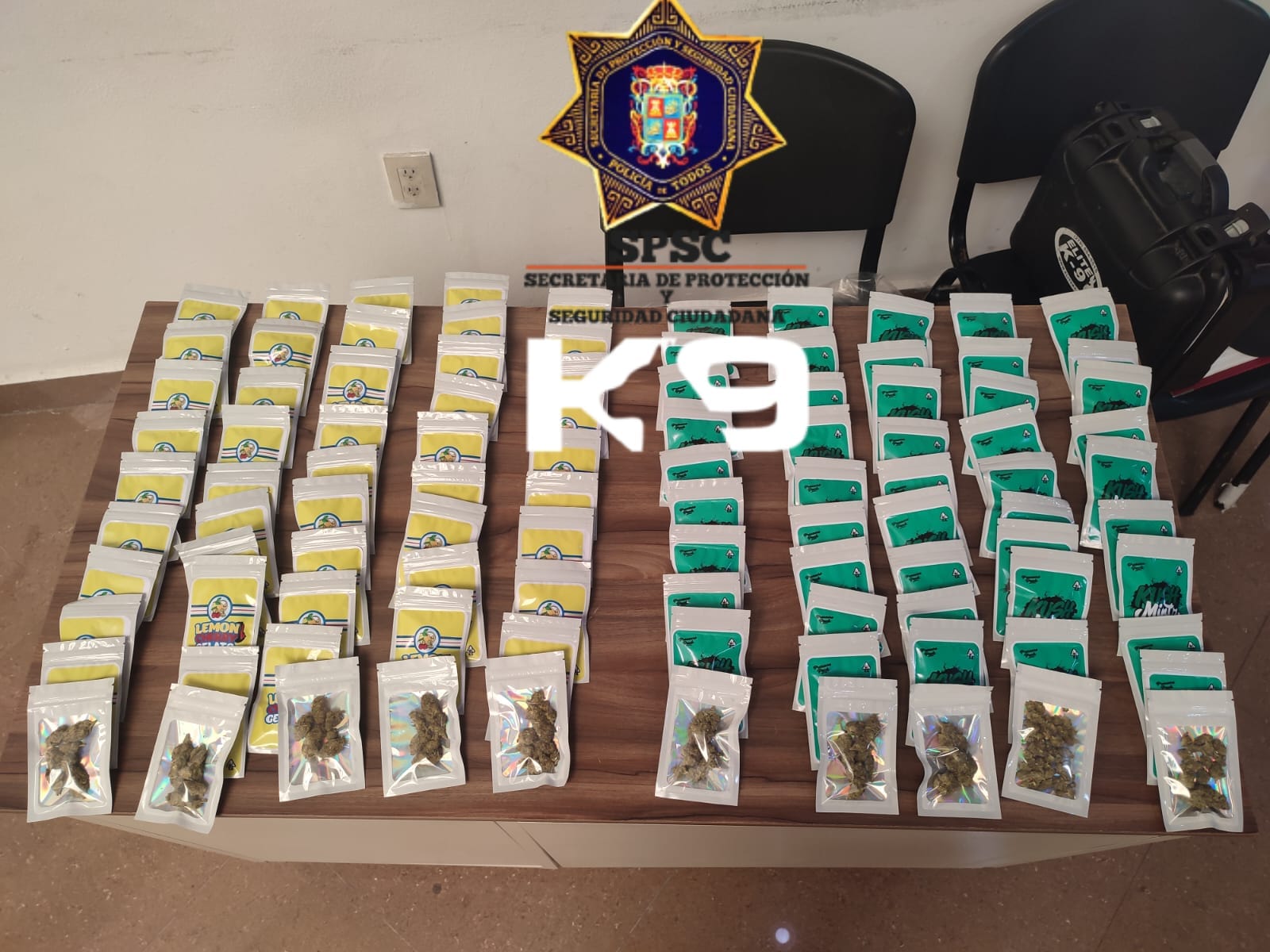 UNIDAD K9 ASEGURA PAQUETE CON PRESUNTA DROGA EN PAQUETERÍA DE LA CAPITAL DEL ESTADO