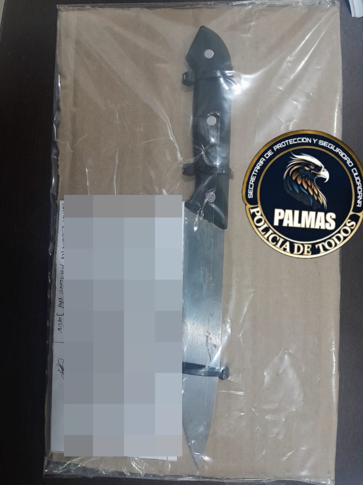 SPSC ASEGURA A DOS PERSONAS EN LA CAPITAL DEL ESTADO