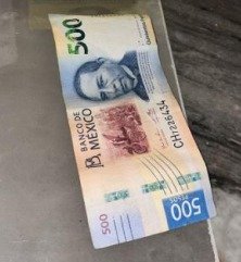 FGECAM REALIZA CATEO EN CHAMPOTÓN