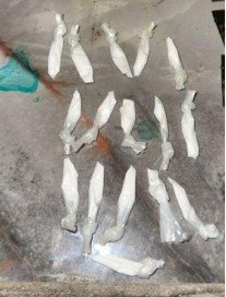 FGECAM REALIZA CATEO EN CHAMPOTÓN