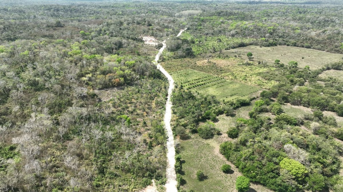REHABILITACIÓN DE CAMINO SACA COSECHAS EN EL KILÓMETRO 74 DE ESCÁRCEGA