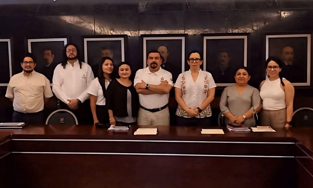 SESIONA COMITÉ ESTRATÉGICO DE LA MISIÓN 2: “PAZ Y SEGURIDAD CIUDADANA”