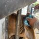 SEGUIMIENTO A LOS CASOS DE GUSANO BARRENADOR EN CAMPECHE