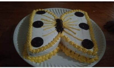 CURSO “TÉCNICAS PARA DECORAR PASTELES” SE IMPARTE EN LA JUNTA MUNICIPAL DE UKUM, POR LA INSTRUCTORA LANDY ESTHER ZAPATA TORRES