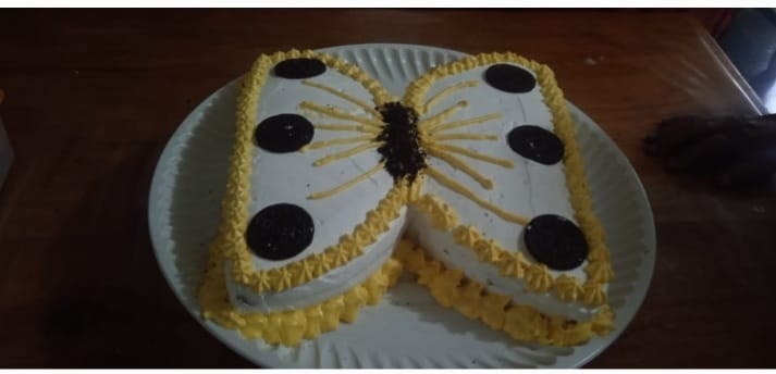 CURSO “TÉCNICAS PARA DECORAR PASTELES” SE IMPARTE EN LA JUNTA MUNICIPAL DE UKUM, POR LA INSTRUCTORA LANDY ESTHER ZAPATA TORRES