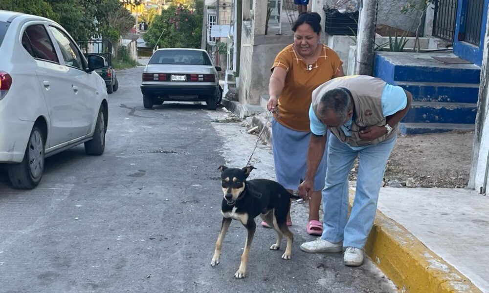 CONTINÚAN LAS ACCIONES PARA PROTEGER A LAS MASCOTAS DE LA RABIA