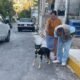 CONTINÚAN LAS ACCIONES PARA PROTEGER A LAS MASCOTAS DE LA RABIA