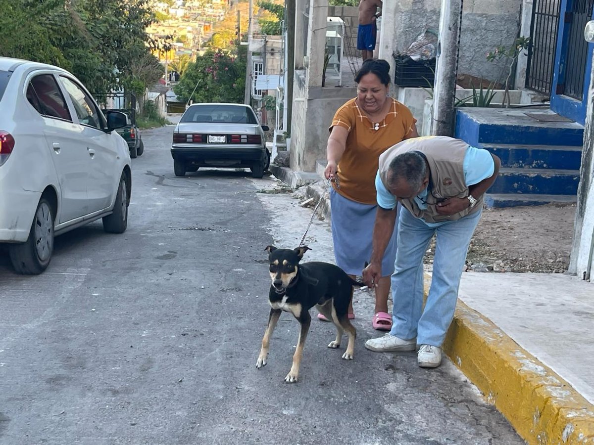 CONTINÚAN LAS ACCIONES PARA PROTEGER A LAS MASCOTAS DE LA RABIA