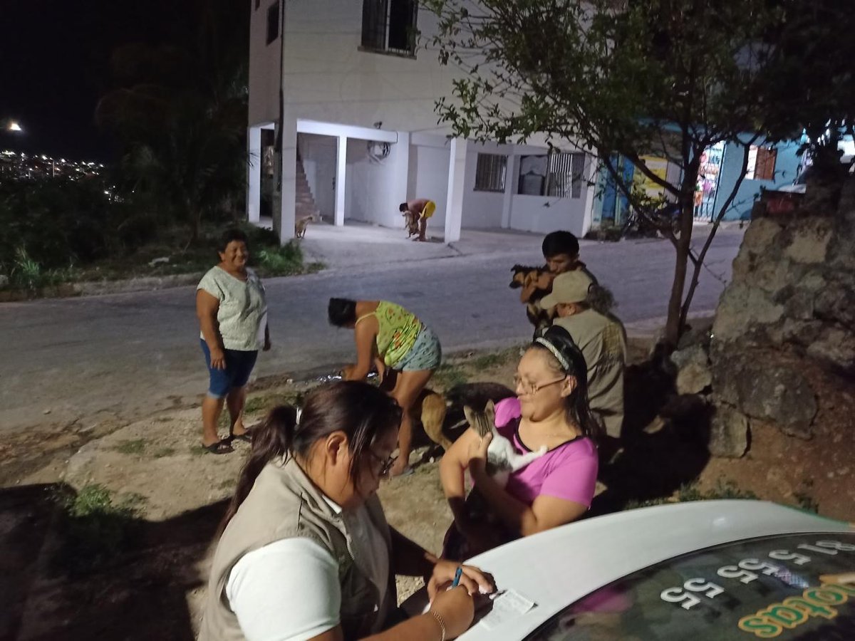 CONTINÚAN LAS ACCIONES PARA PROTEGER A LAS MASCOTAS DE LA RABIA
