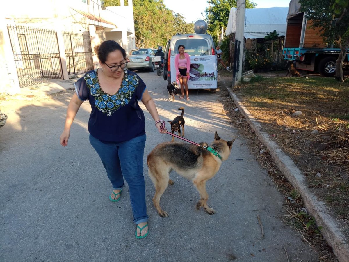 CONTINÚAN LAS ACCIONES PARA PROTEGER A LAS MASCOTAS DE LA RABIA