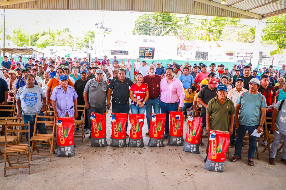 ENTREGA DE SEMILLAS DE MAÍZ EN EL MUNICIPIO DE TENABO
