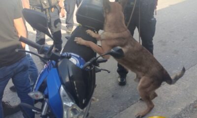 POLICÍA ESTATAL ASEGURA A PERSONA CON CANNABIS