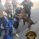 POLICÍA ESTATAL ASEGURA A PERSONA CON CANNABIS