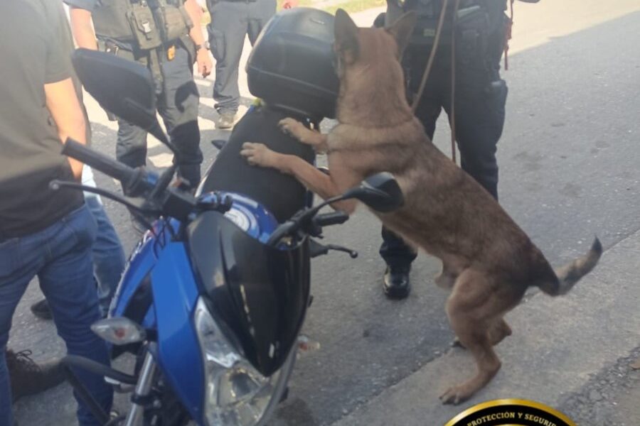 POLICÍA ESTATAL ASEGURA A PERSONA CON CANNABIS