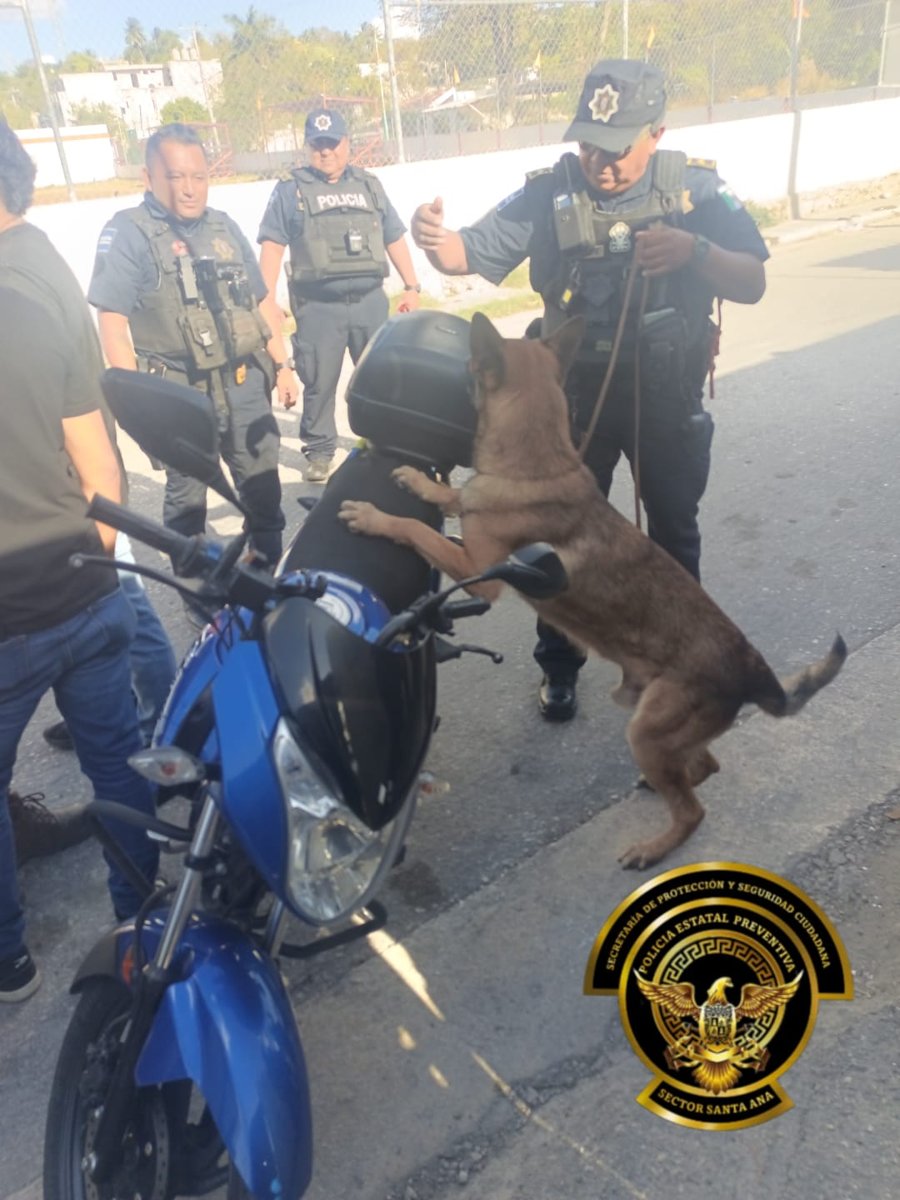 POLICÍA ESTATAL ASEGURA A PERSONA CON CANNABIS
