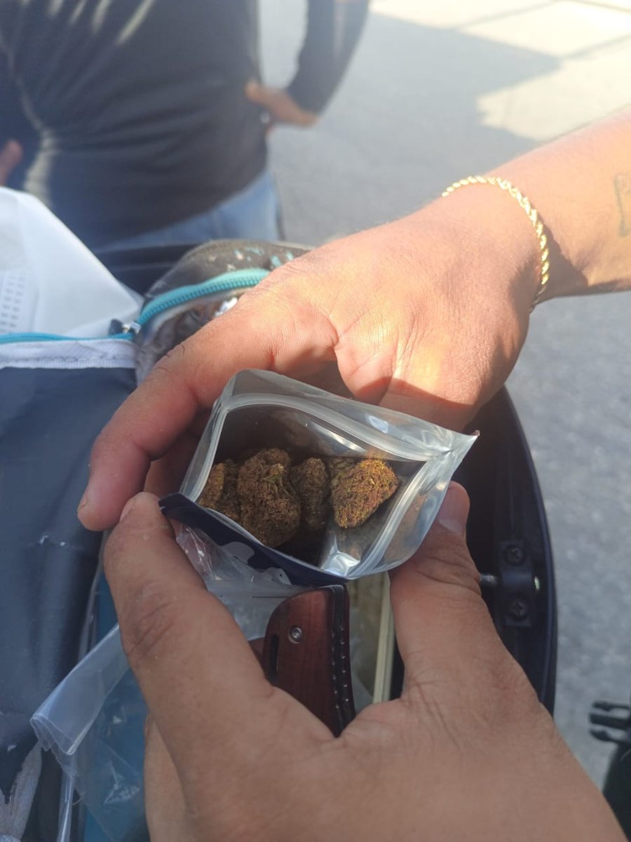 POLICÍA ESTATAL ASEGURA A PERSONA CON CANNABIS