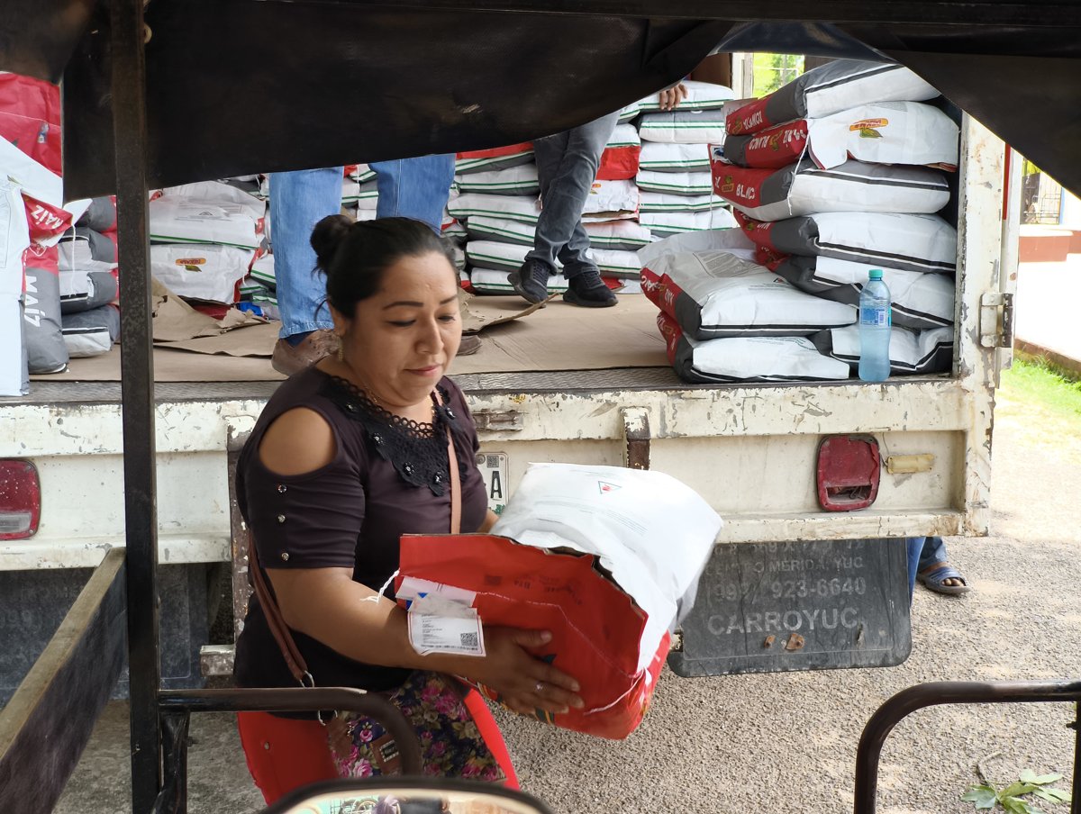 ENTREGA DE SEMILLAS EN DZITBALCHÉ