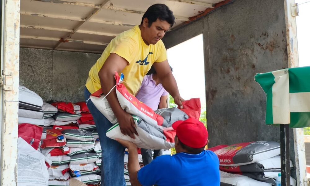 ENTREGA DE SEMILLAS EN DZITBALCHÉ