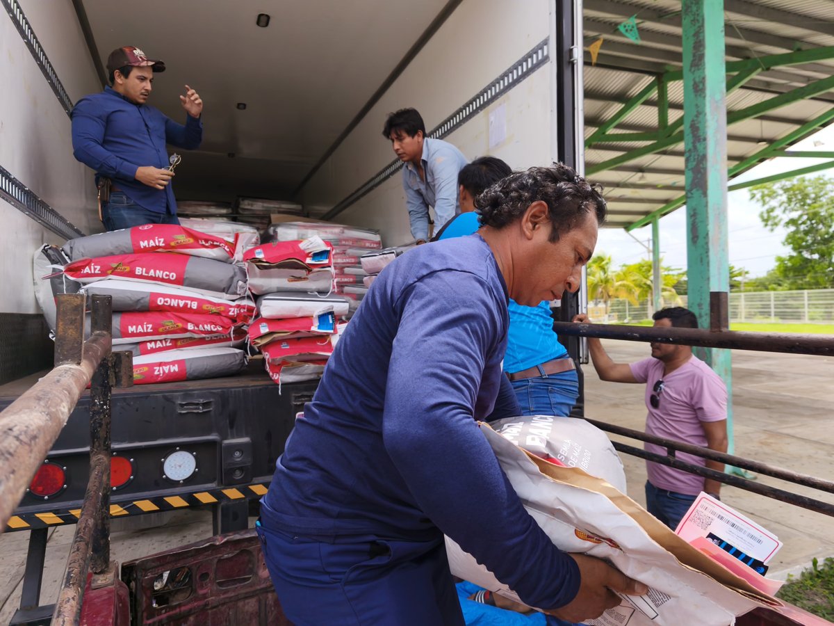ENTREGA DE SEMILLAS EN HOPELCHÉN