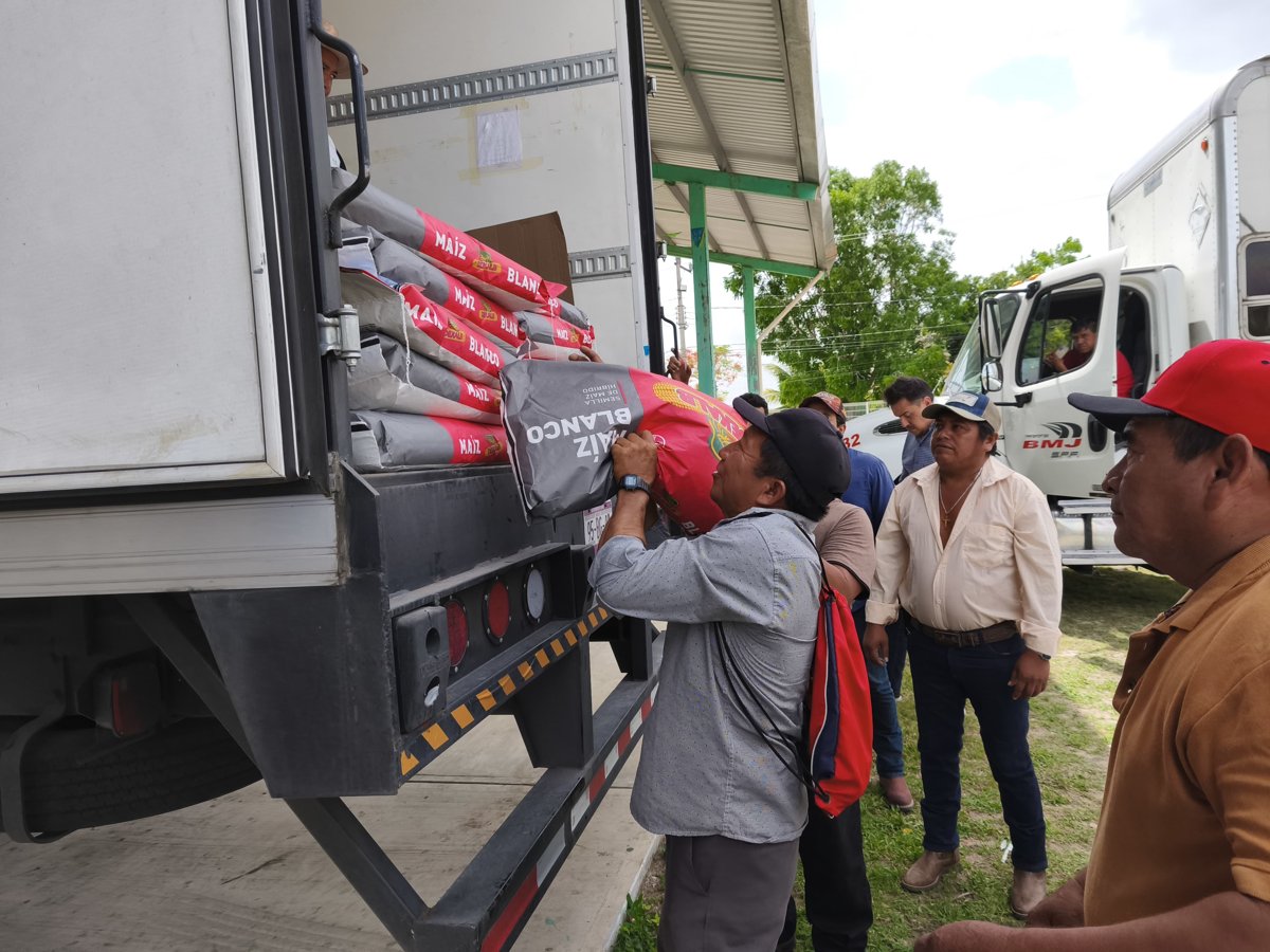 ENTREGA DE SEMILLAS EN HOPELCHÉN