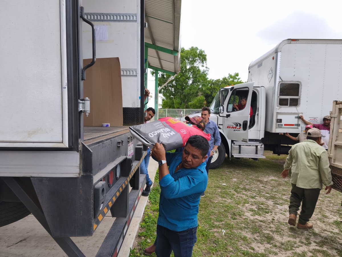 ENTREGA DE SEMILLAS EN HOPELCHÉN