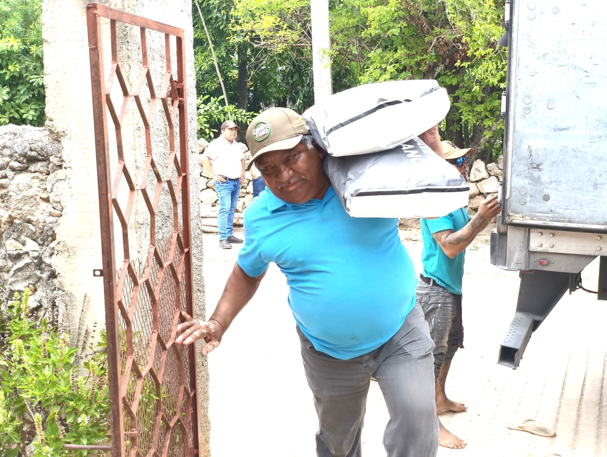 ENTREGA DE MAÍZ EN ITURBIDE, HOPELCHÉN