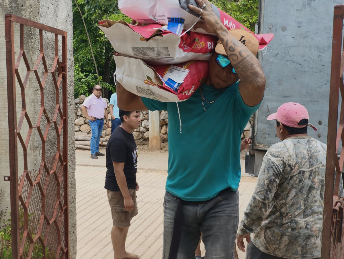 ENTREGA DE MAÍZ EN ITURBIDE, HOPELCHÉN