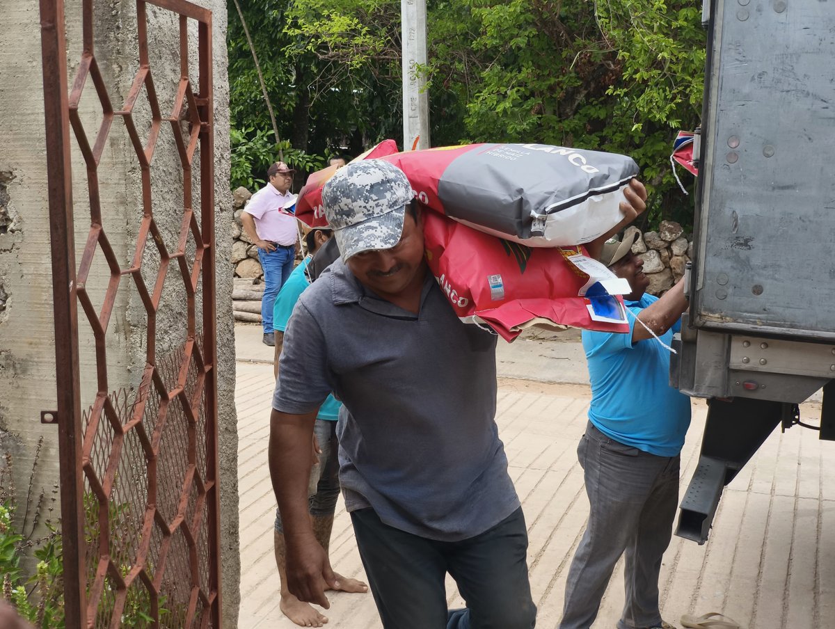 ENTREGA DE MAÍZ EN ITURBIDE, HOPELCHÉN