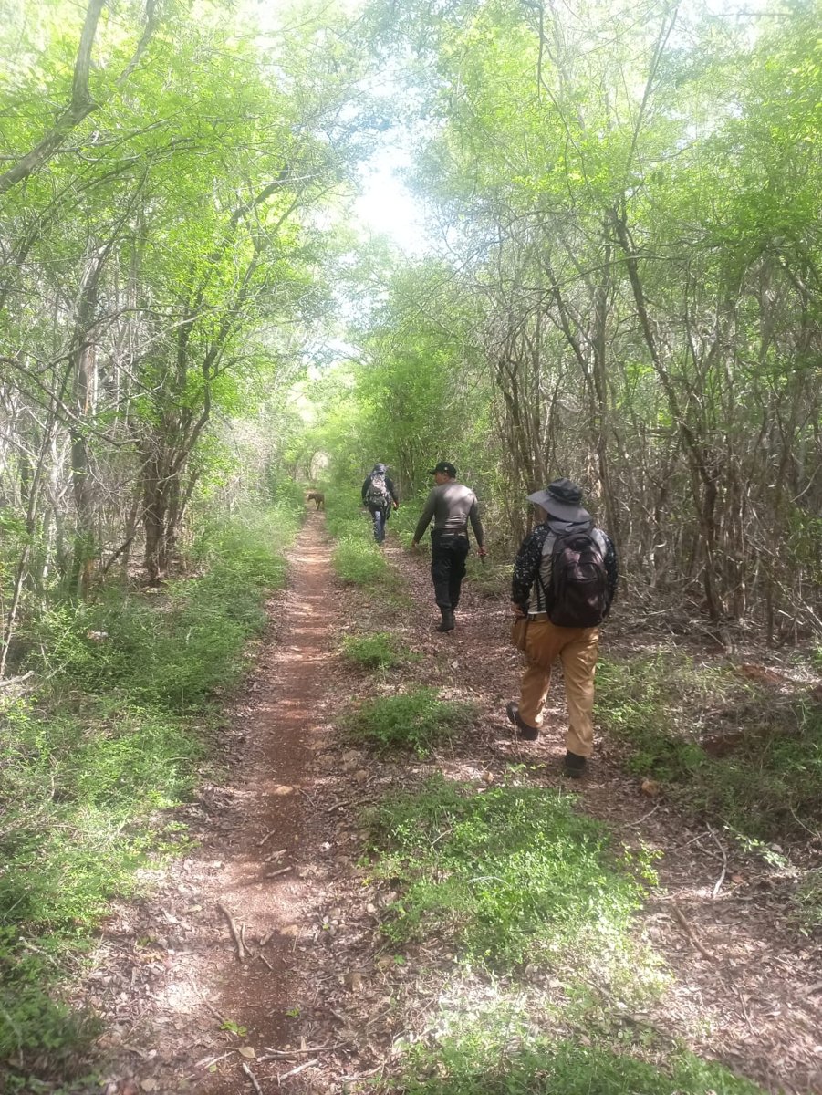 FORTALECEN VÍNCULOS DE BÚSQUEDA LAS COMISIONES DE CAMPECHE Y YUCATÁN