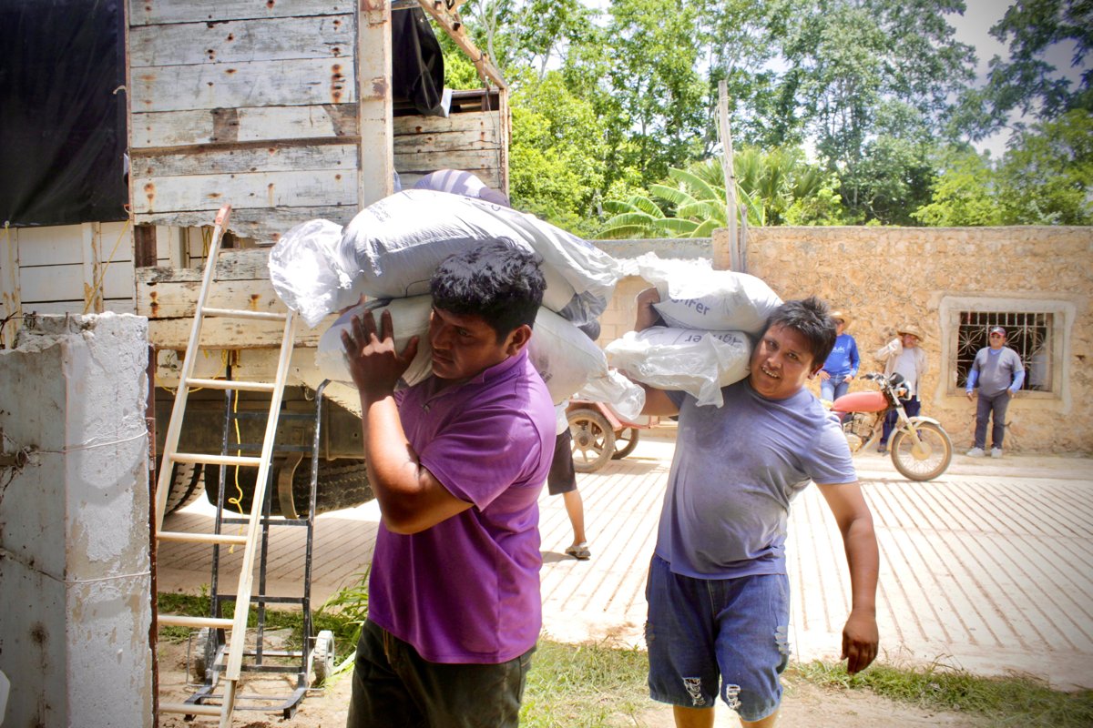 ENTREGA DE FERTILIZANTE EN ITURBIDE