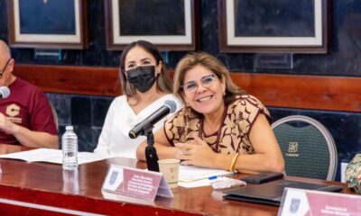 REVISAN AVANCES DE OBRAS COMPLEMENTARIAS DEL TREN LIGERO EN CAMPECHE