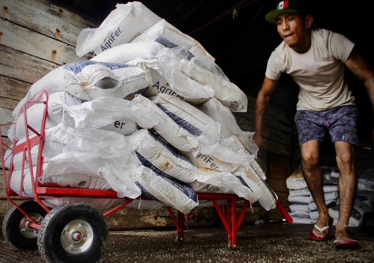 ENTREGA DE FERTILIZANTE EN COMUNIDADES DE HOPELCHÉN