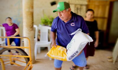ENTREGA DE FERTILIZANTE EN NOHALAL, HECELCHALÁN