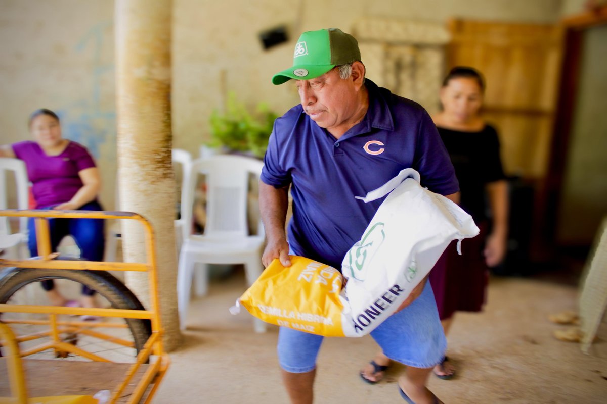 ENTREGA DE FERTILIZANTE EN NOHALAL, HECELCHALÁN