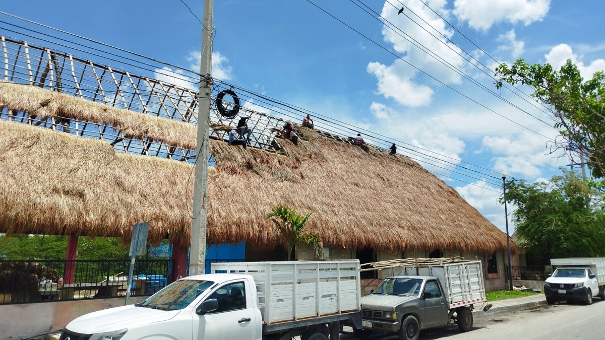 EN PROCESO DE REHABILITACIÓN LAS PALAPAS DEL REFUGIO PESQUERO “7 DE AGOSTO”: APICAM