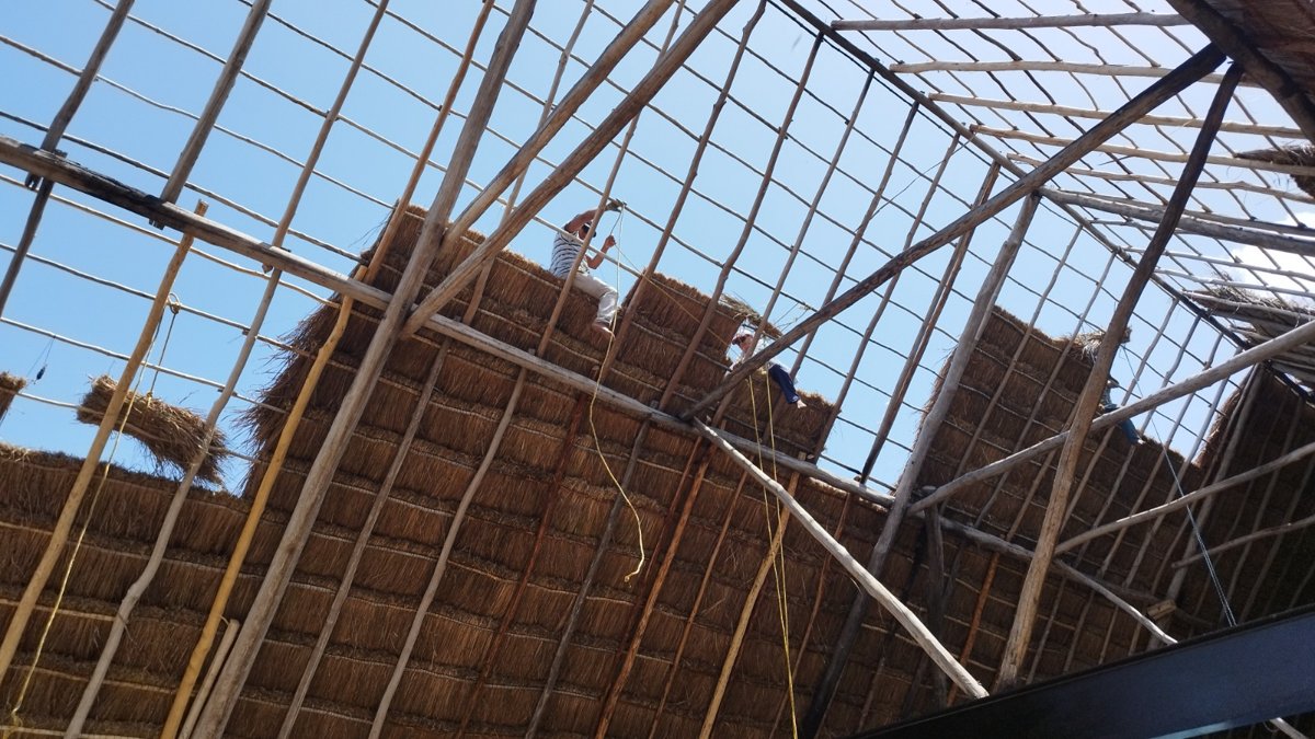 EN PROCESO DE REHABILITACIÓN LAS PALAPAS DEL REFUGIO PESQUERO “7 DE AGOSTO”: APICAM